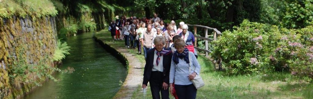 cropped-Passeggiando-per-Miagliano.jpg